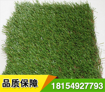 足球場人造草坪施工前瀝青基礎(chǔ)平整度:基礎(chǔ)應具有一定的強度和穩(wěn)定性,基礎(chǔ)不能產(chǎn)品裂縫和由于冰凍引起的不均勻凍脹,平整度合格率在95%以上,3米直尺誤差3mm.

